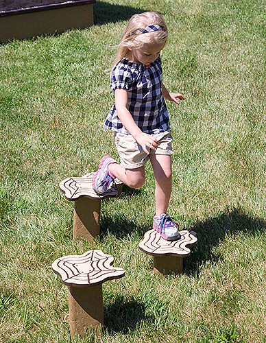 STEPPING STOOL LOG