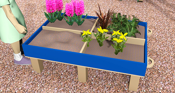 LARGE NATURE TABLE